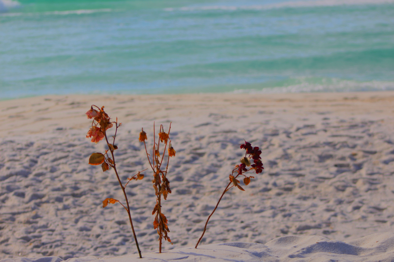 Illustration for article titled Some More Beach Shots
